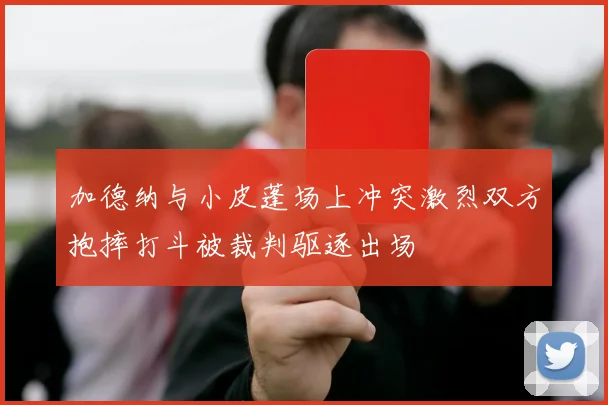 加德纳与小皮蓬场上冲突激烈双方抱摔打斗被裁判驱逐出场
