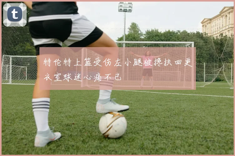 特伦特上篮受伤左小腿被搀扶回更衣室球迷心痛不已
